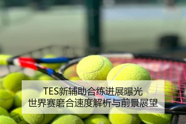 TES新辅助合练进展曝光 世界赛磨合速度解析与前景展望